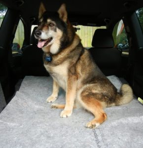 csp protecting car interior