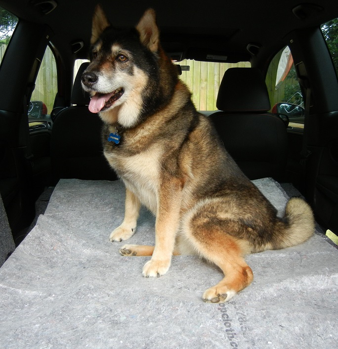 csp protecting car interior